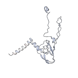 34403_8gzu_fs_v1-0
Cryo-EM structure of Tetrahymena thermophila respiratory Megacomplex MC (IV2+I+III2+II)2