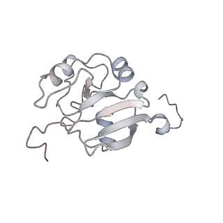 34403_8gzu_fx_v1-0
Cryo-EM structure of Tetrahymena thermophila respiratory Megacomplex MC (IV2+I+III2+II)2