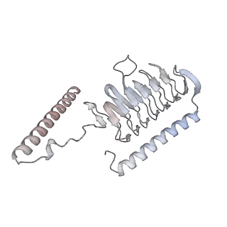 34403_8gzu_g2_v1-0
Cryo-EM structure of Tetrahymena thermophila respiratory Megacomplex MC (IV2+I+III2+II)2