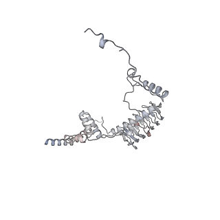 34403_8gzu_g3_v1-0
Cryo-EM structure of Tetrahymena thermophila respiratory Megacomplex MC (IV2+I+III2+II)2