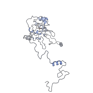 34403_8gzu_g_v1-0
Cryo-EM structure of Tetrahymena thermophila respiratory Megacomplex MC (IV2+I+III2+II)2