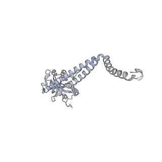 34403_8gzu_h_v1-0
Cryo-EM structure of Tetrahymena thermophila respiratory Megacomplex MC (IV2+I+III2+II)2