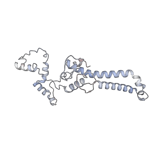 34403_8gzu_i_v1-0
Cryo-EM structure of Tetrahymena thermophila respiratory Megacomplex MC (IV2+I+III2+II)2