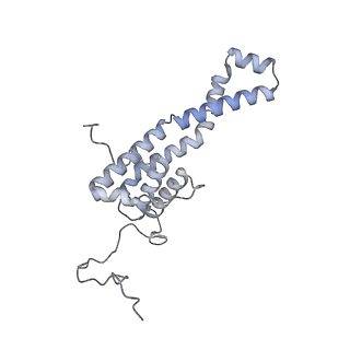 34403_8gzu_j_v1-0
Cryo-EM structure of Tetrahymena thermophila respiratory Megacomplex MC (IV2+I+III2+II)2
