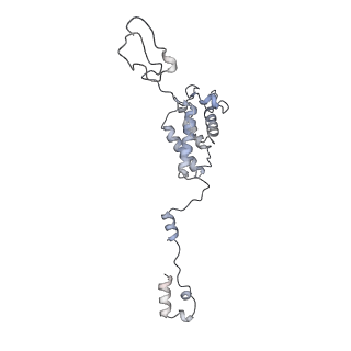 34403_8gzu_k_v1-0
Cryo-EM structure of Tetrahymena thermophila respiratory Megacomplex MC (IV2+I+III2+II)2