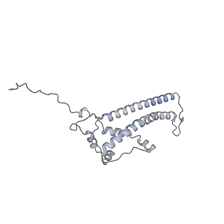 34403_8gzu_l_v1-0
Cryo-EM structure of Tetrahymena thermophila respiratory Megacomplex MC (IV2+I+III2+II)2