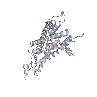 34403_8gzu_m1_v1-0
Cryo-EM structure of Tetrahymena thermophila respiratory Megacomplex MC (IV2+I+III2+II)2