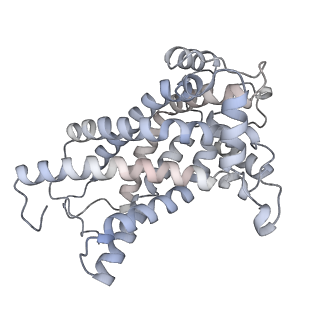 34403_8gzu_m2_v1-0
Cryo-EM structure of Tetrahymena thermophila respiratory Megacomplex MC (IV2+I+III2+II)2
