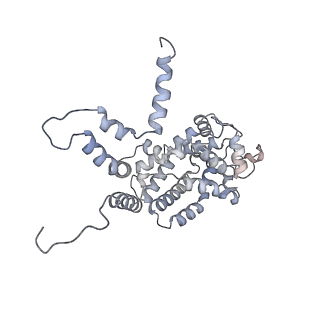 34403_8gzu_m3_v1-0
Cryo-EM structure of Tetrahymena thermophila respiratory Megacomplex MC (IV2+I+III2+II)2