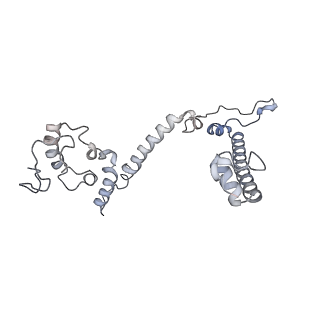 34403_8gzu_m_v1-0
Cryo-EM structure of Tetrahymena thermophila respiratory Megacomplex MC (IV2+I+III2+II)2