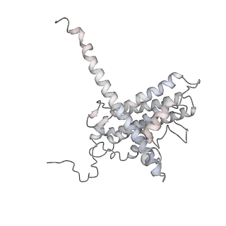 34403_8gzu_n1_v1-0
Cryo-EM structure of Tetrahymena thermophila respiratory Megacomplex MC (IV2+I+III2+II)2