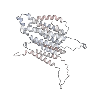 34403_8gzu_n2_v1-0
Cryo-EM structure of Tetrahymena thermophila respiratory Megacomplex MC (IV2+I+III2+II)2