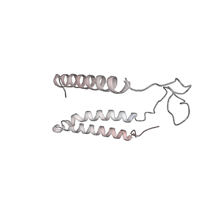 34403_8gzu_n3_v1-0
Cryo-EM structure of Tetrahymena thermophila respiratory Megacomplex MC (IV2+I+III2+II)2