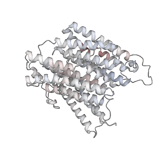 34403_8gzu_n4_v1-0
Cryo-EM structure of Tetrahymena thermophila respiratory Megacomplex MC (IV2+I+III2+II)2