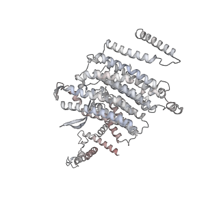 34403_8gzu_n5_v1-0
Cryo-EM structure of Tetrahymena thermophila respiratory Megacomplex MC (IV2+I+III2+II)2