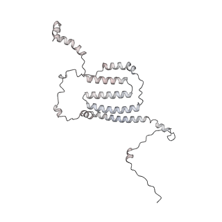 34403_8gzu_n6_v1-0
Cryo-EM structure of Tetrahymena thermophila respiratory Megacomplex MC (IV2+I+III2+II)2