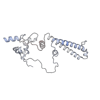 34403_8gzu_n_v1-0
Cryo-EM structure of Tetrahymena thermophila respiratory Megacomplex MC (IV2+I+III2+II)2