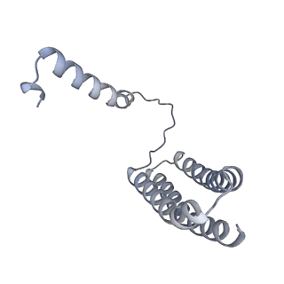 34403_8gzu_o_v1-0
Cryo-EM structure of Tetrahymena thermophila respiratory Megacomplex MC (IV2+I+III2+II)2