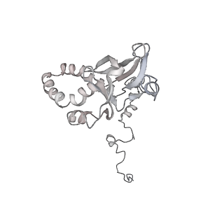 34403_8gzu_p1_v1-0
Cryo-EM structure of Tetrahymena thermophila respiratory Megacomplex MC (IV2+I+III2+II)2