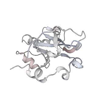 34403_8gzu_p2_v1-0
Cryo-EM structure of Tetrahymena thermophila respiratory Megacomplex MC (IV2+I+III2+II)2