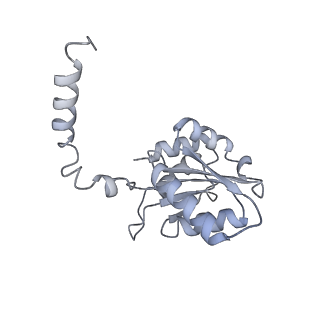 34403_8gzu_p_v1-0
Cryo-EM structure of Tetrahymena thermophila respiratory Megacomplex MC (IV2+I+III2+II)2