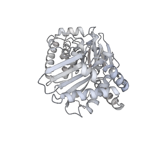 34403_8gzu_qA_v1-0
Cryo-EM structure of Tetrahymena thermophila respiratory Megacomplex MC (IV2+I+III2+II)2