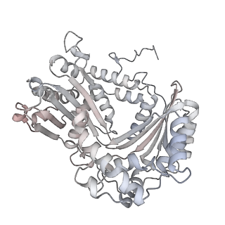 34403_8gzu_qB_v1-0
Cryo-EM structure of Tetrahymena thermophila respiratory Megacomplex MC (IV2+I+III2+II)2