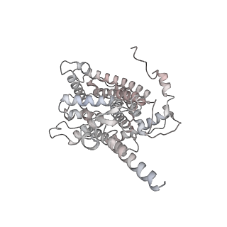 34403_8gzu_qC_v1-0
Cryo-EM structure of Tetrahymena thermophila respiratory Megacomplex MC (IV2+I+III2+II)2
