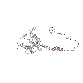 34403_8gzu_qD_v1-0
Cryo-EM structure of Tetrahymena thermophila respiratory Megacomplex MC (IV2+I+III2+II)2
