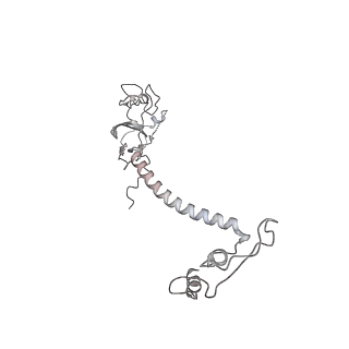 34403_8gzu_qE_v1-0
Cryo-EM structure of Tetrahymena thermophila respiratory Megacomplex MC (IV2+I+III2+II)2