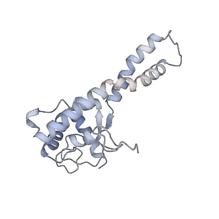 34403_8gzu_q_v1-0
Cryo-EM structure of Tetrahymena thermophila respiratory Megacomplex MC (IV2+I+III2+II)2
