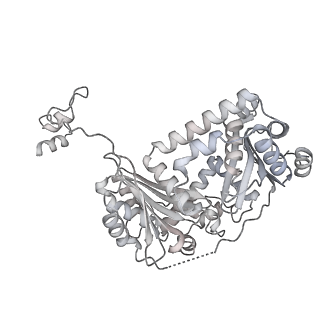 34403_8gzu_qa_v1-0
Cryo-EM structure of Tetrahymena thermophila respiratory Megacomplex MC (IV2+I+III2+II)2