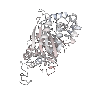 34403_8gzu_qb_v1-0
Cryo-EM structure of Tetrahymena thermophila respiratory Megacomplex MC (IV2+I+III2+II)2