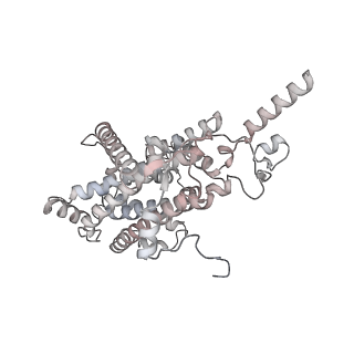34403_8gzu_qc_v1-0
Cryo-EM structure of Tetrahymena thermophila respiratory Megacomplex MC (IV2+I+III2+II)2