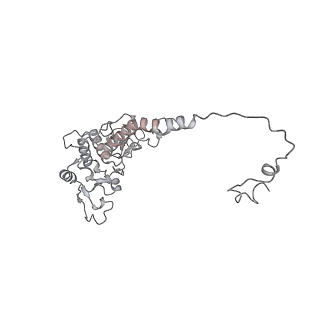 34403_8gzu_qd_v1-0
Cryo-EM structure of Tetrahymena thermophila respiratory Megacomplex MC (IV2+I+III2+II)2