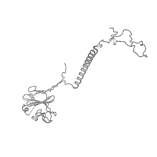 34403_8gzu_qe_v1-0
Cryo-EM structure of Tetrahymena thermophila respiratory Megacomplex MC (IV2+I+III2+II)2