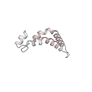 34403_8gzu_qf_v1-0
Cryo-EM structure of Tetrahymena thermophila respiratory Megacomplex MC (IV2+I+III2+II)2