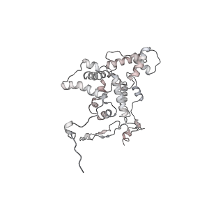 34403_8gzu_qg_v1-0
Cryo-EM structure of Tetrahymena thermophila respiratory Megacomplex MC (IV2+I+III2+II)2