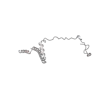 34403_8gzu_qi_v1-0
Cryo-EM structure of Tetrahymena thermophila respiratory Megacomplex MC (IV2+I+III2+II)2