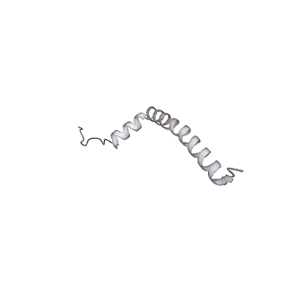 34403_8gzu_qj_v1-0
Cryo-EM structure of Tetrahymena thermophila respiratory Megacomplex MC (IV2+I+III2+II)2
