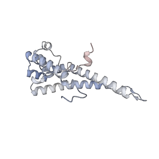 34403_8gzu_r_v1-0
Cryo-EM structure of Tetrahymena thermophila respiratory Megacomplex MC (IV2+I+III2+II)2