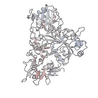34403_8gzu_s1_v1-0
Cryo-EM structure of Tetrahymena thermophila respiratory Megacomplex MC (IV2+I+III2+II)2
