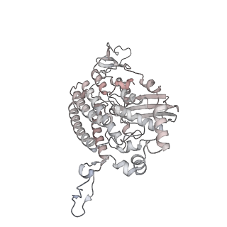34403_8gzu_s2_v1-0
Cryo-EM structure of Tetrahymena thermophila respiratory Megacomplex MC (IV2+I+III2+II)2