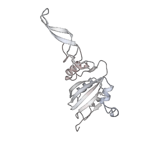34403_8gzu_s3_v1-0
Cryo-EM structure of Tetrahymena thermophila respiratory Megacomplex MC (IV2+I+III2+II)2