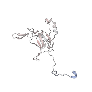 34403_8gzu_s4_v1-0
Cryo-EM structure of Tetrahymena thermophila respiratory Megacomplex MC (IV2+I+III2+II)2