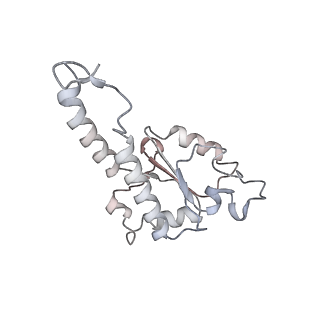34403_8gzu_s7_v1-0
Cryo-EM structure of Tetrahymena thermophila respiratory Megacomplex MC (IV2+I+III2+II)2