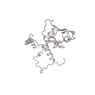 34403_8gzu_s8_v1-0
Cryo-EM structure of Tetrahymena thermophila respiratory Megacomplex MC (IV2+I+III2+II)2