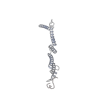 34403_8gzu_s_v1-0
Cryo-EM structure of Tetrahymena thermophila respiratory Megacomplex MC (IV2+I+III2+II)2