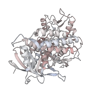 34403_8gzu_sa_v1-0
Cryo-EM structure of Tetrahymena thermophila respiratory Megacomplex MC (IV2+I+III2+II)2