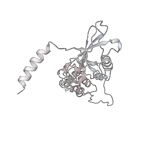34403_8gzu_sb_v1-0
Cryo-EM structure of Tetrahymena thermophila respiratory Megacomplex MC (IV2+I+III2+II)2